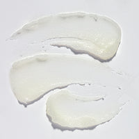 The Balm - Atelier Classic Edition