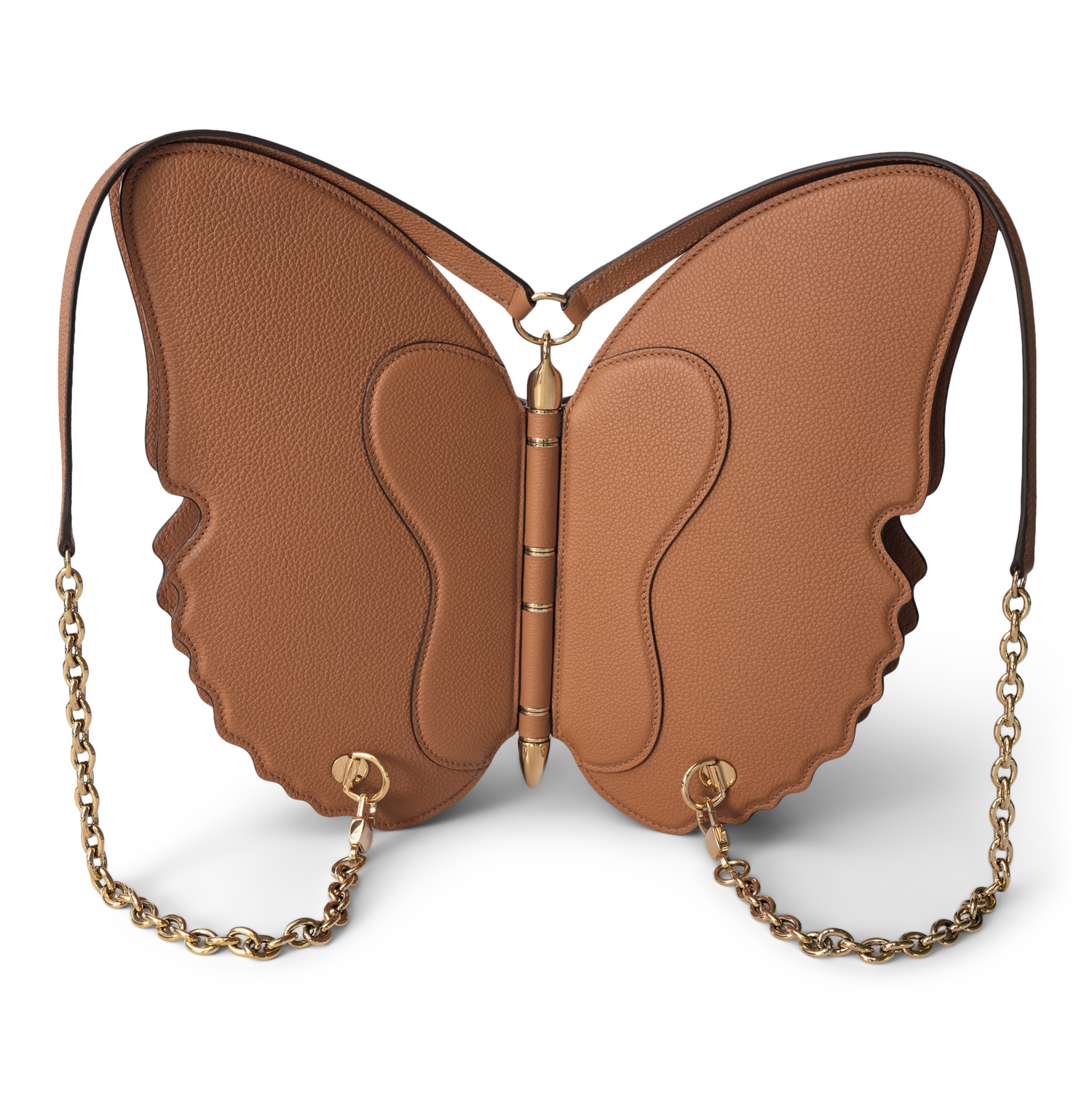 The Butterfly Bag